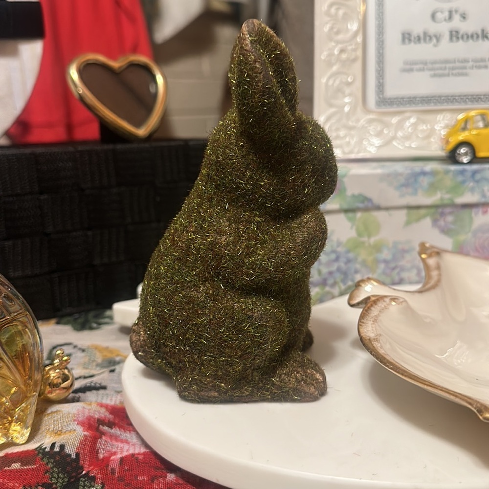Miss Covered Bunny Rabbit - Picture 5 of 6